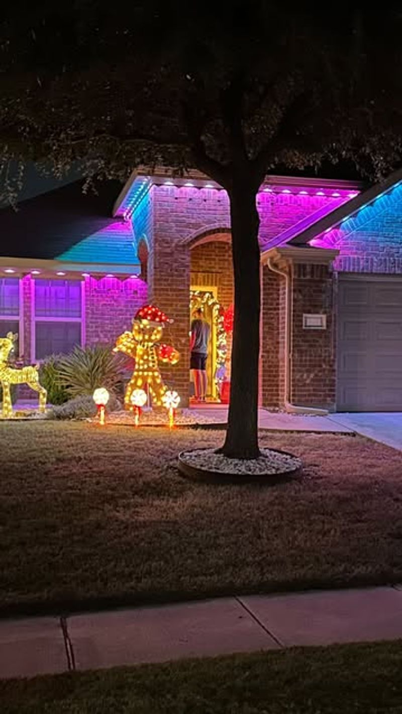 Themed Holiday Spectacles