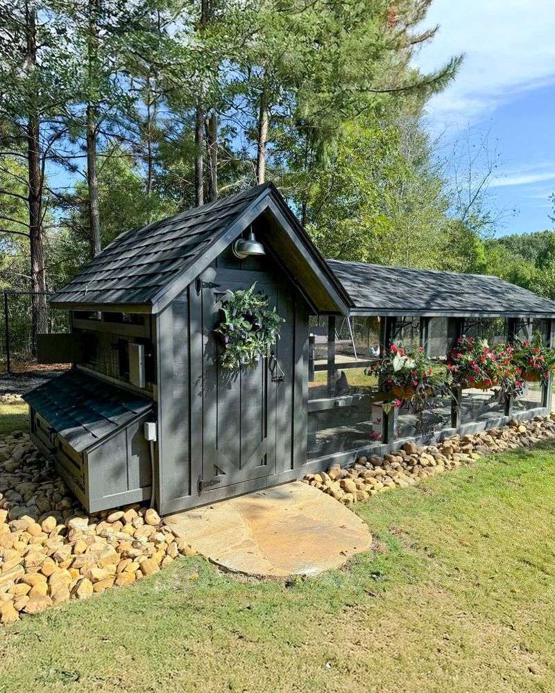 Backyard Chicken Coops