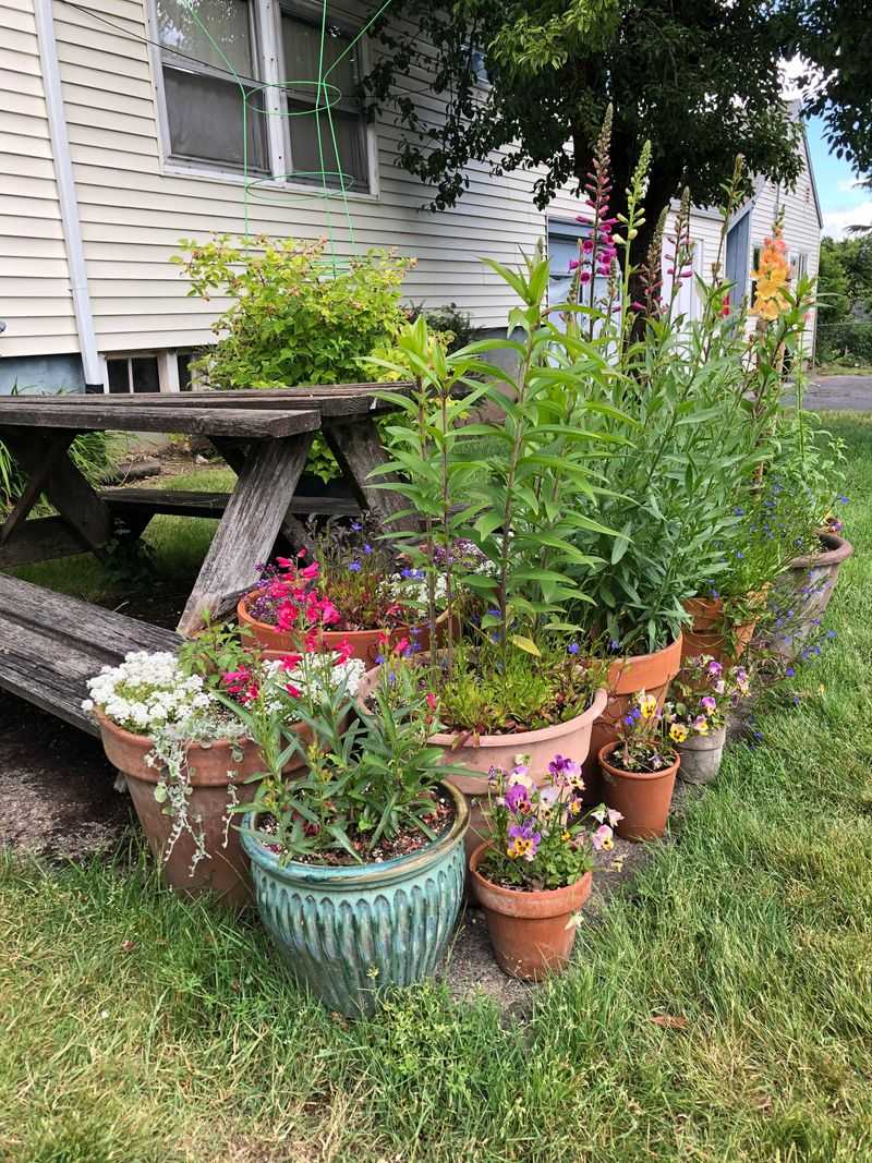 Attend Garden Club Auctions