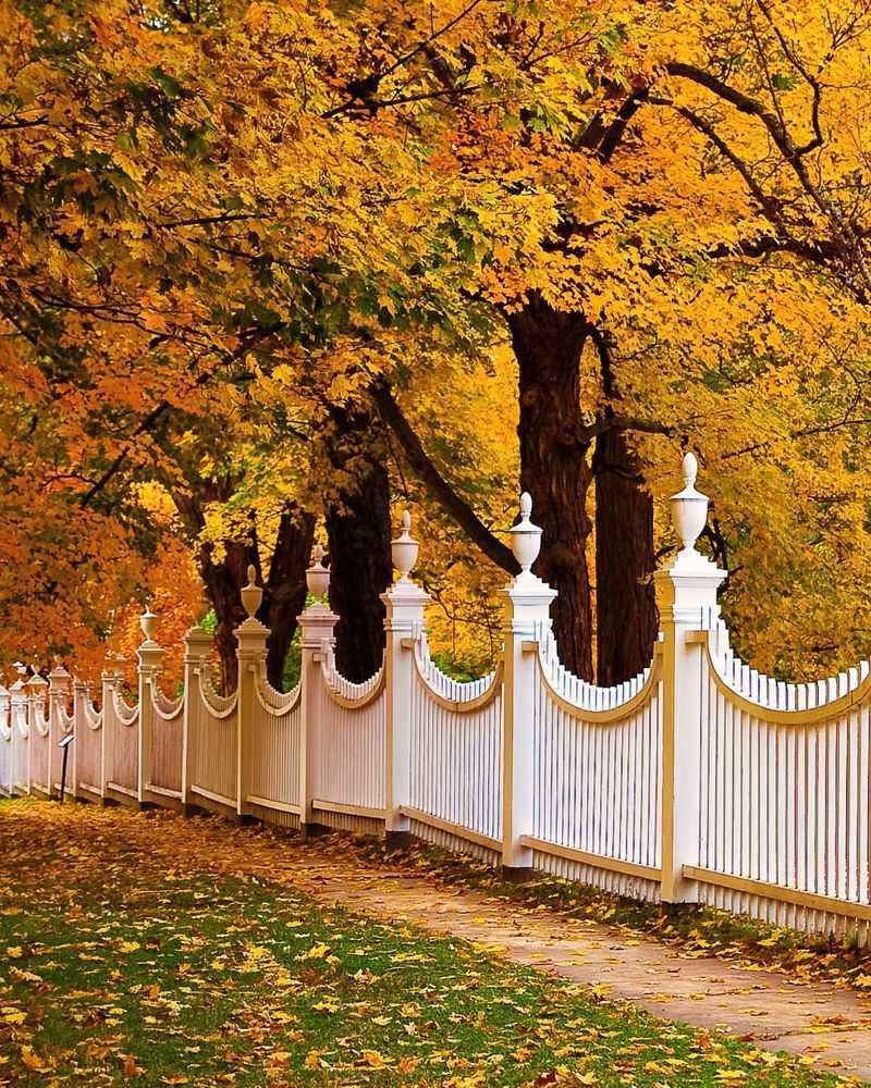 Peacham's Historic Maple Groves Begin Their Quiet Transformation