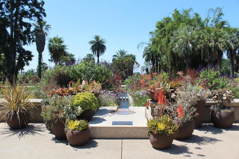 Shakespeare Garden's Literary Inspirations