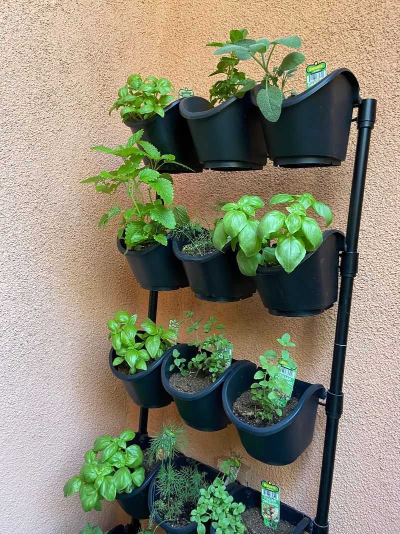 Vertical Mint Wall