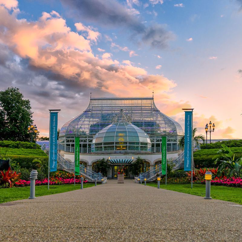 Children's Discovery Garden