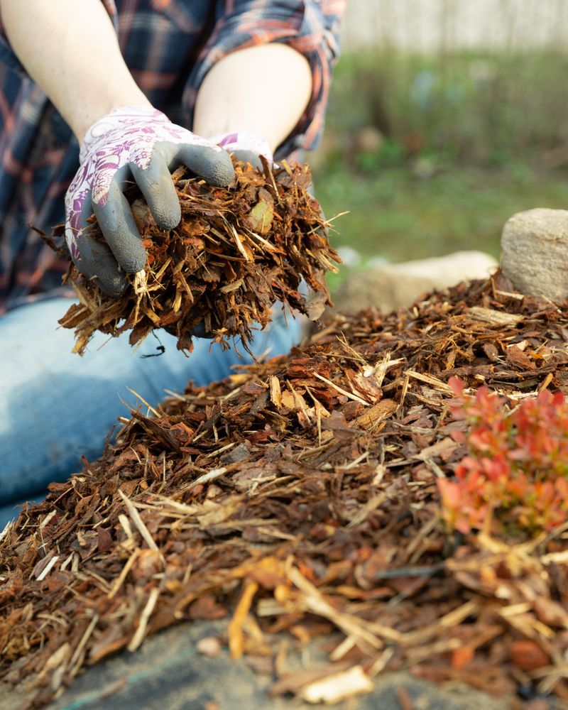 Mulch With Free Materials