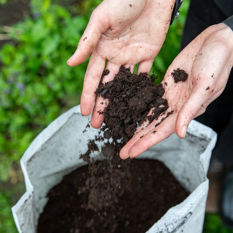 Bulk Buy Soil With Neighbors To Share Delivery Costs
