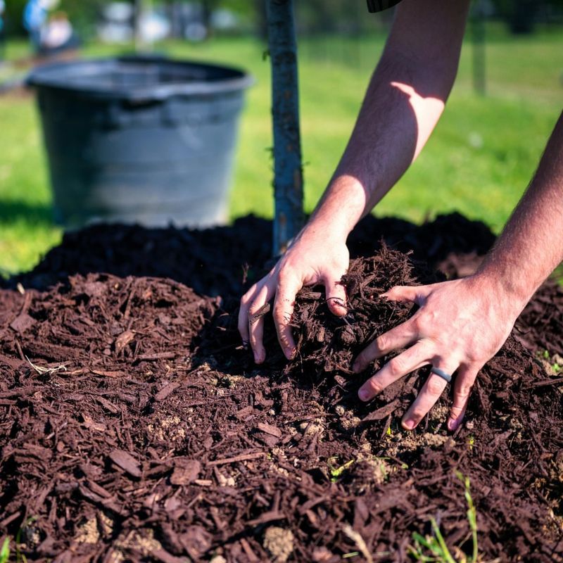 Mulch Everything Possible
