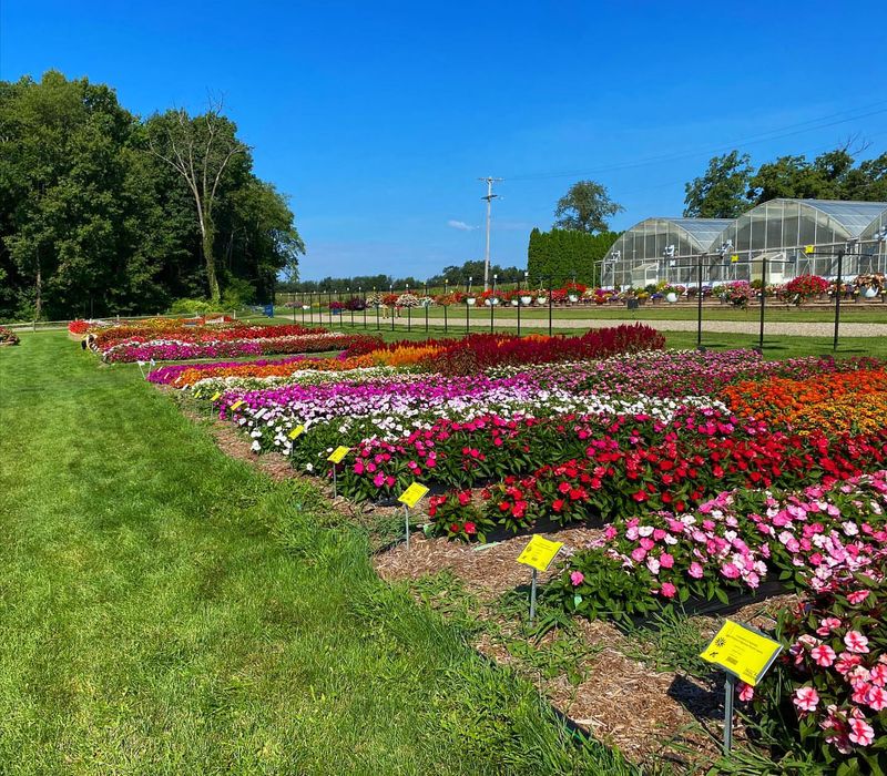Annual Trial Gardens