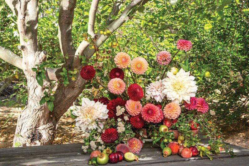 Ojai Valley's Dahlia Meditation Gardens