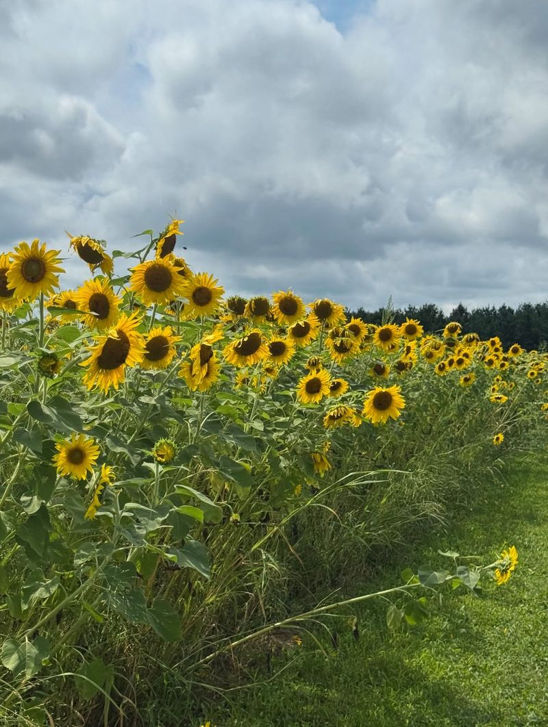Winterset, Wisconsin