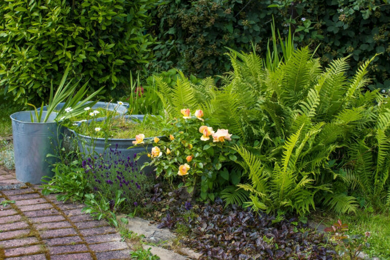 rustic garden - fern, flowers and plants in tin tub (featured image)