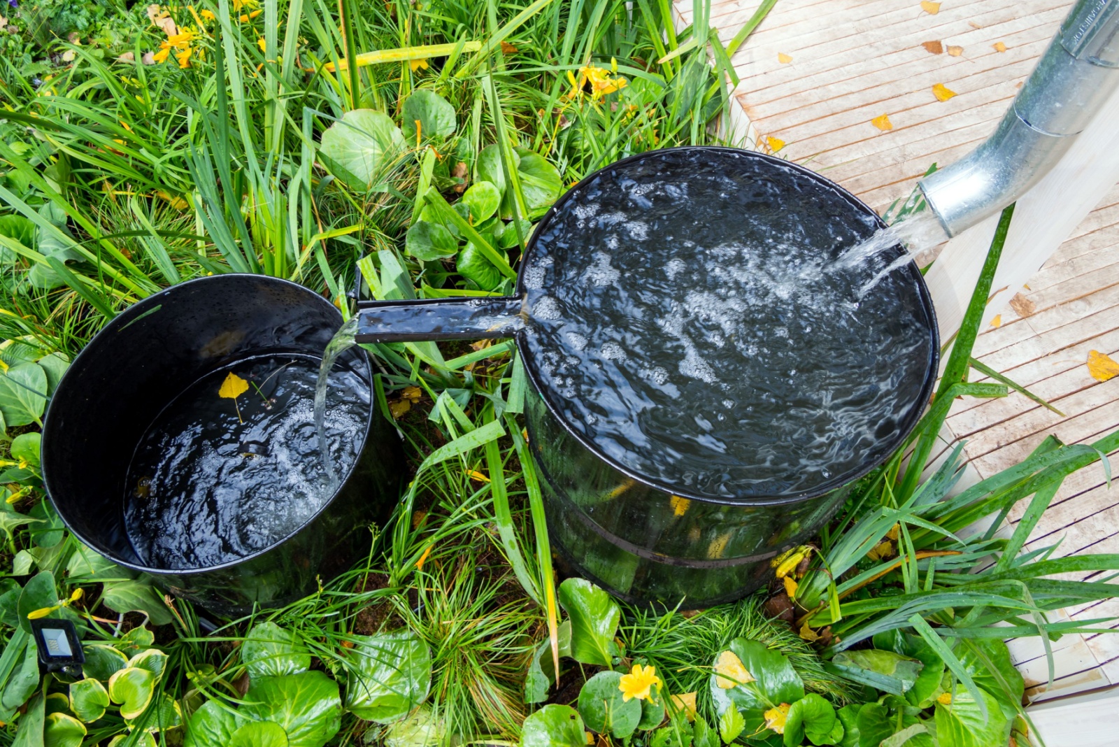 Kansas Gardens Save Rainwater With Living Gutters That Water Native Beds