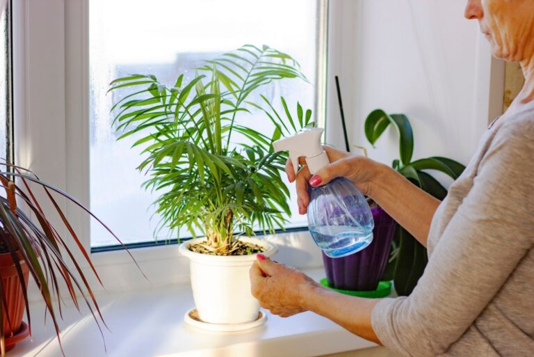 plants sprayed from a bottle
