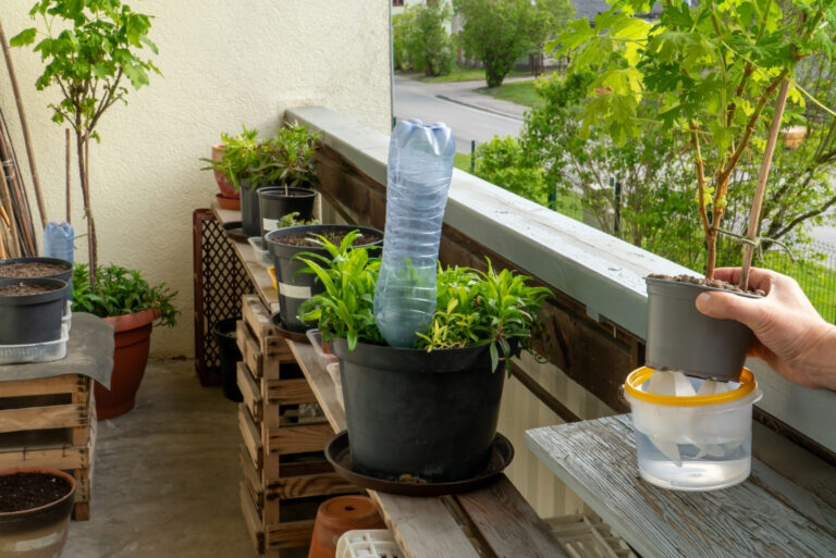 two plant hydration techniques (featured image)