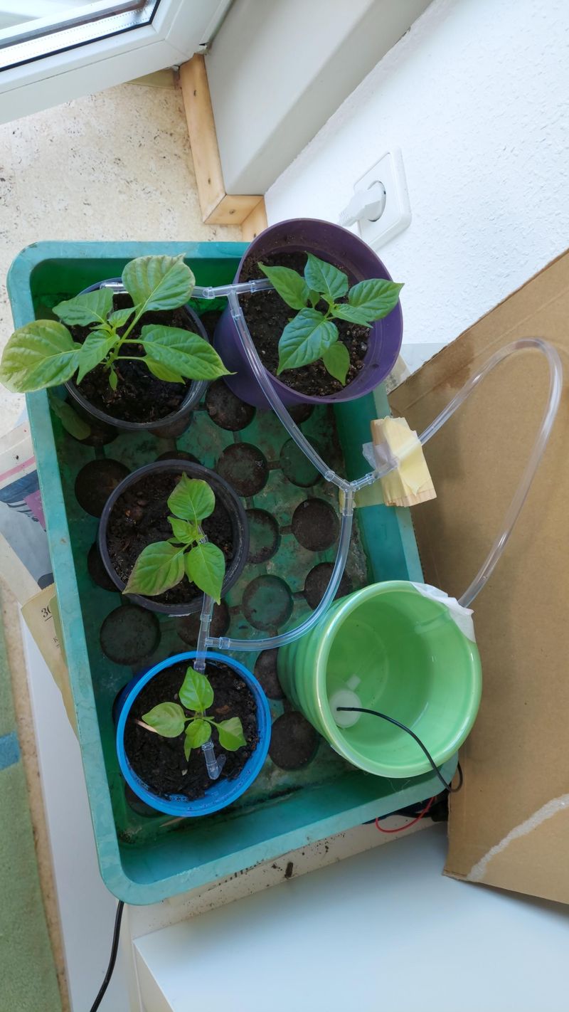 Create a Self-Watering System