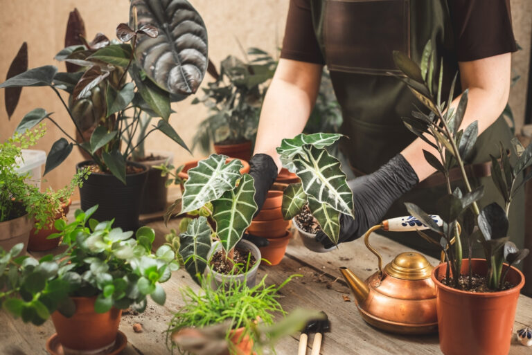 Female gardener wearing black rubber protective gloves and apron taking care of home garden or plant shop (featured image)
