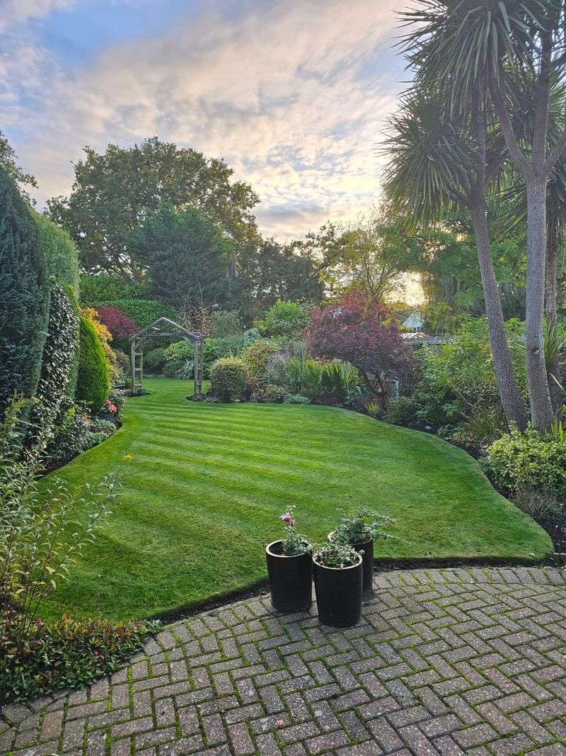 Maintain Landscaping