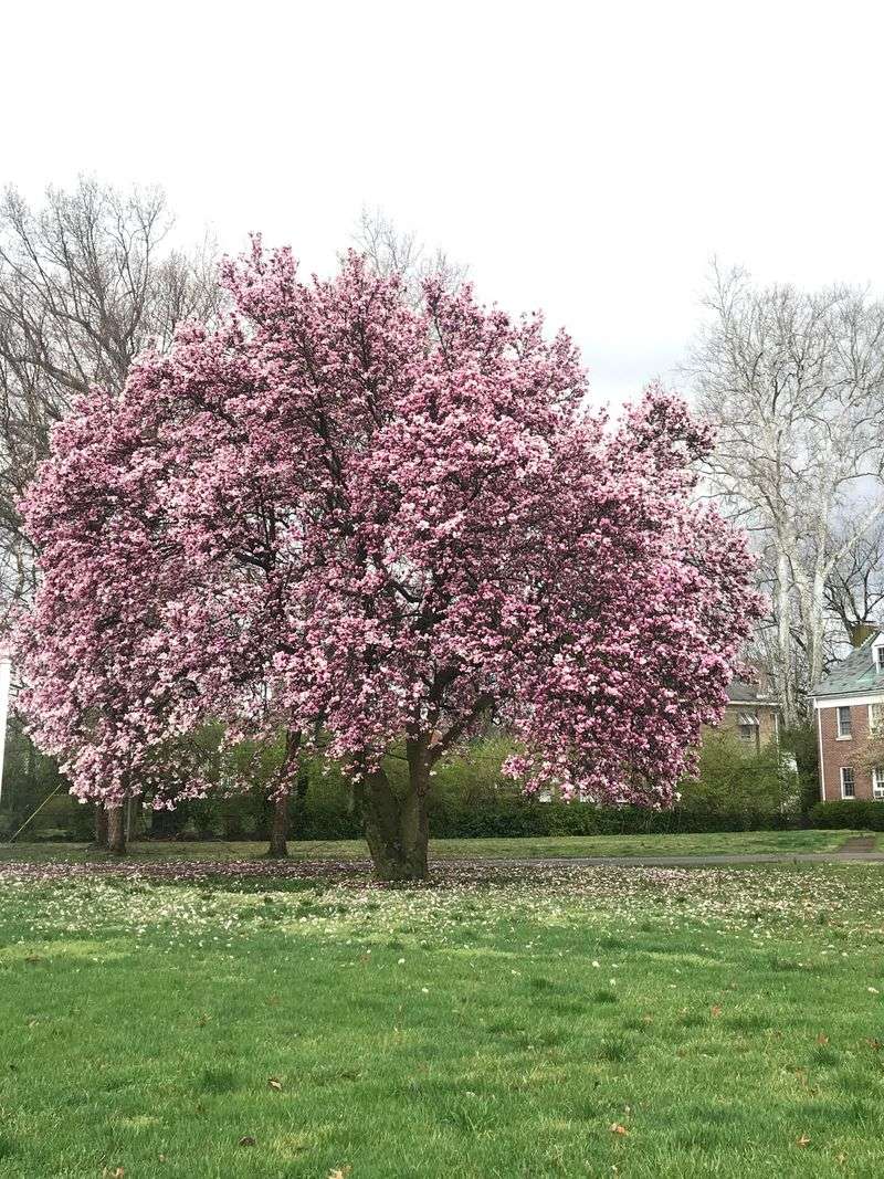 Bardstown