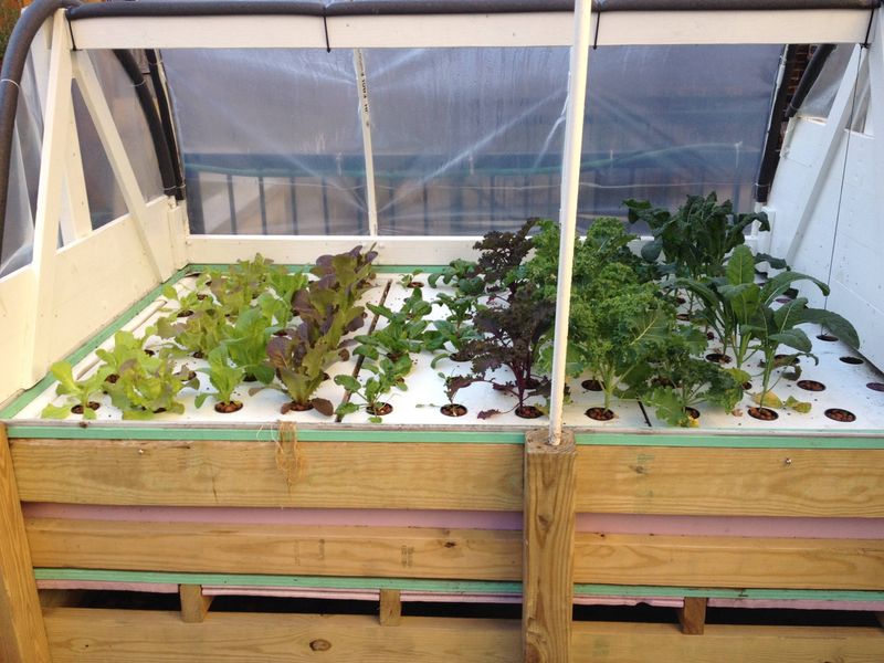 Balcony Aquaponics Systems