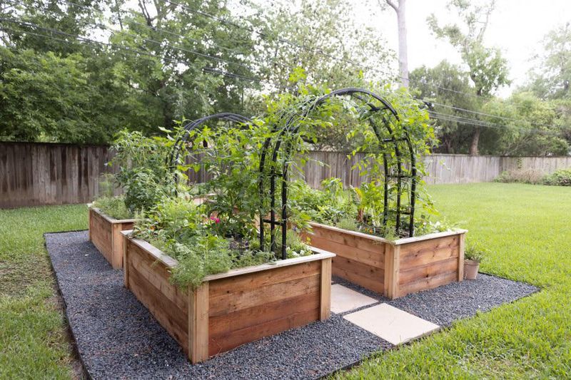 Take Garden Photos