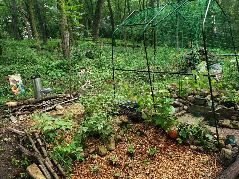 Document Your Garden