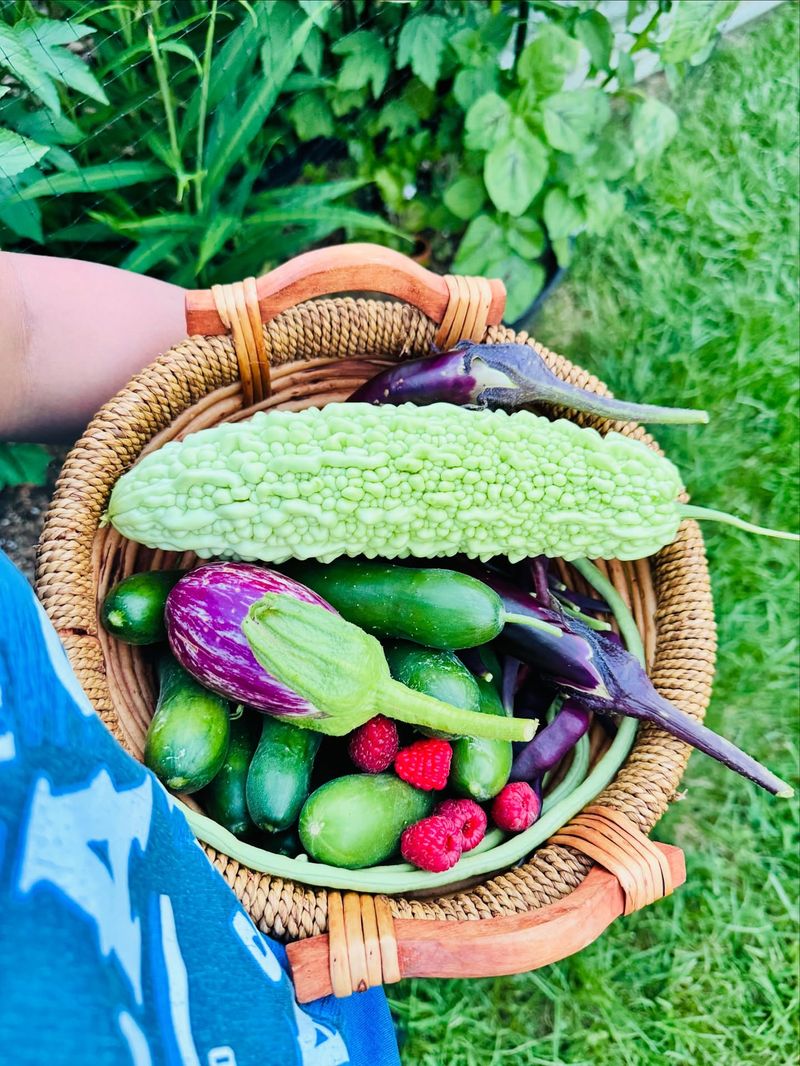 Harvest In Woven Baskets
