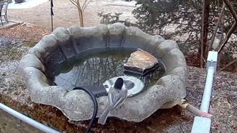 Ignoring Winter Water Needs Losing Year-Round Visitors