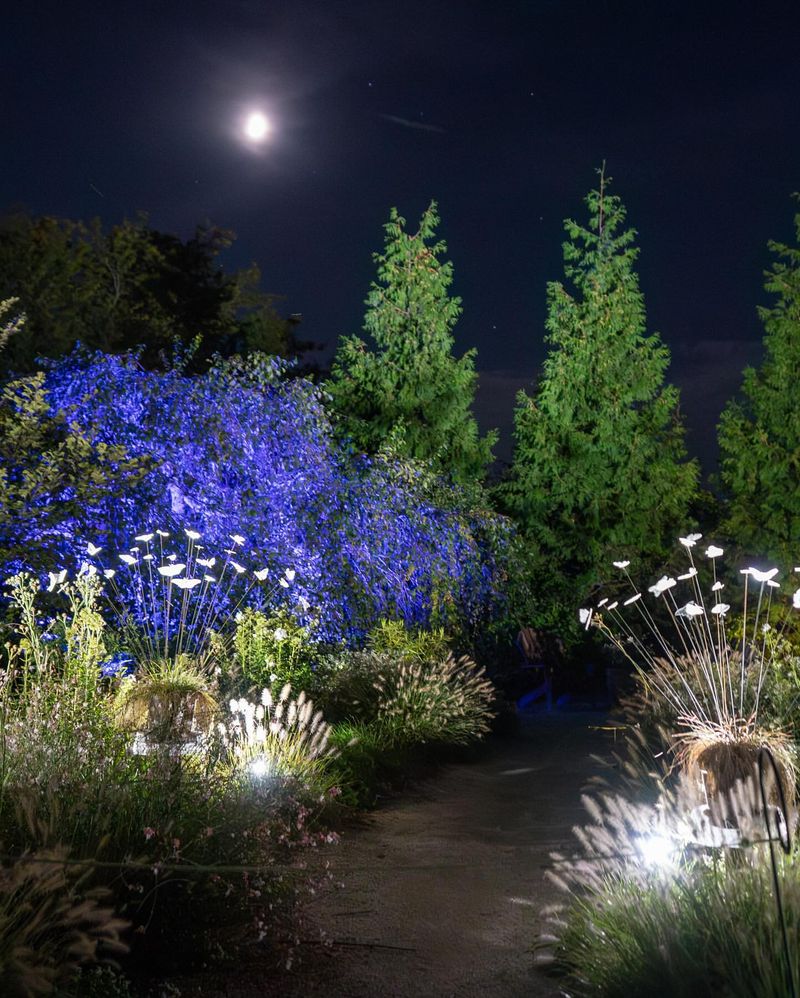 Moonlight Garden