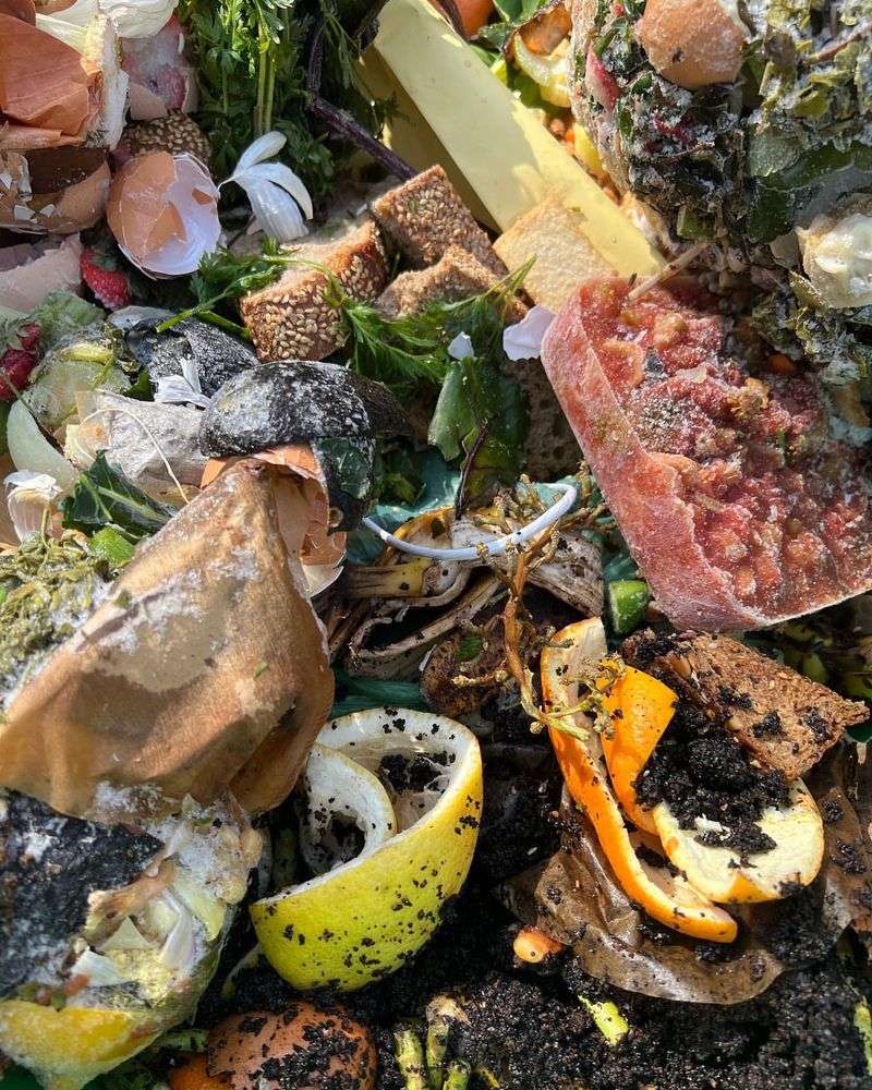 Urban Waste Reduction Champion