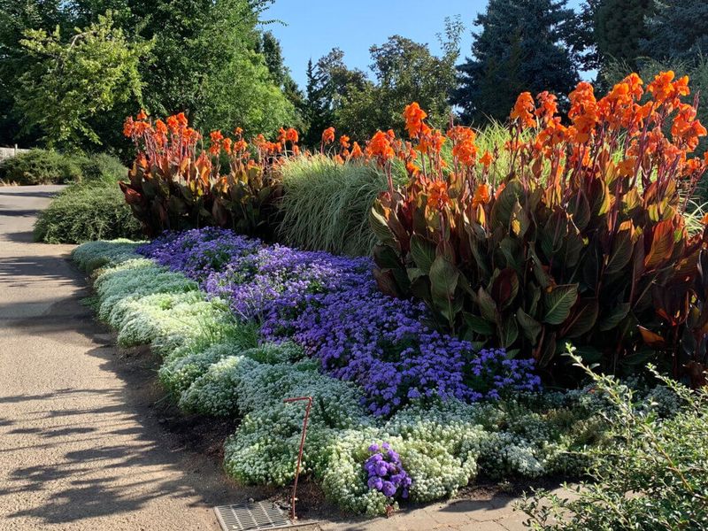The Oregon Garden: A Botanical Wonderland