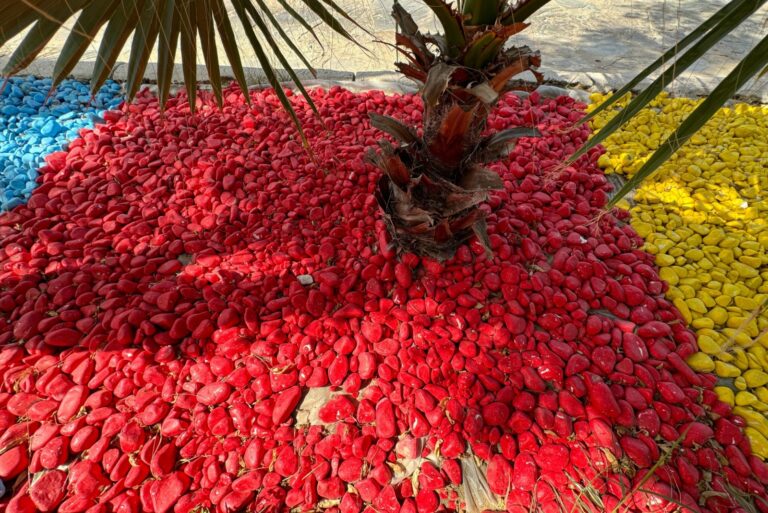red small ornamental stones around tree roots