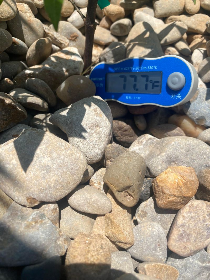 Rock Mulch Heat Islands