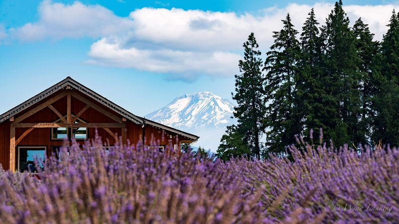 Hood River