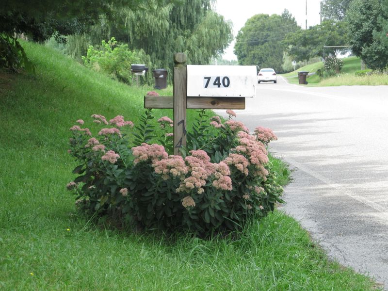 Use Smart Mulching Techniques