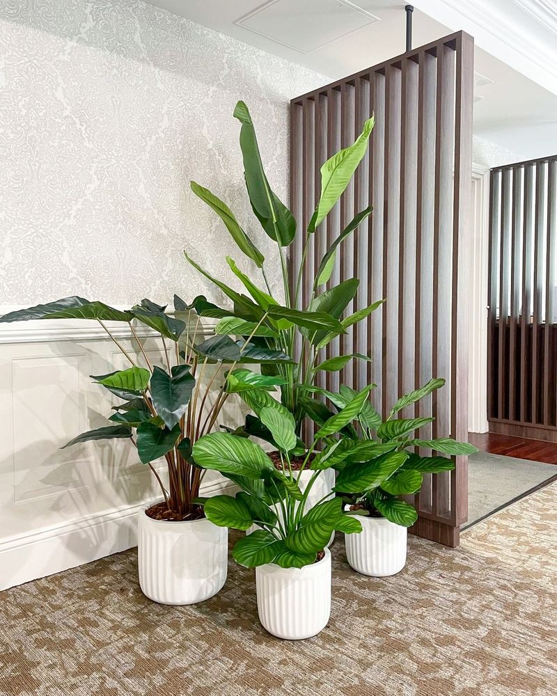 Group Plants By Water Needs