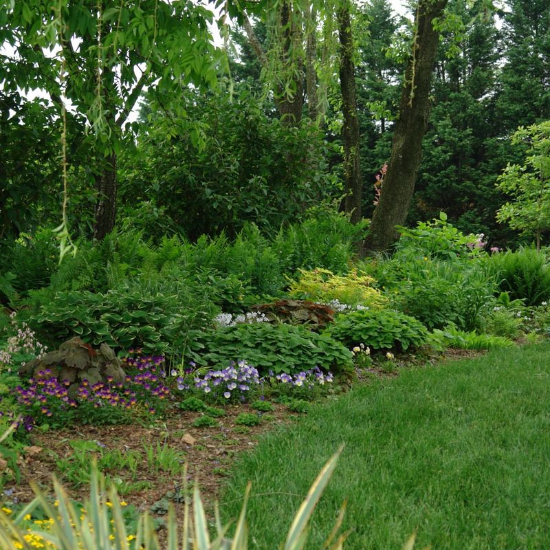 Rain Garden Integration with Shade-Loving Plants