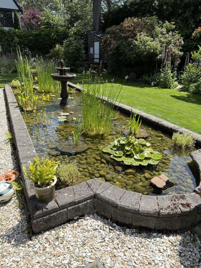 Mix Southern Shield Ferns With Minimalist Water Features