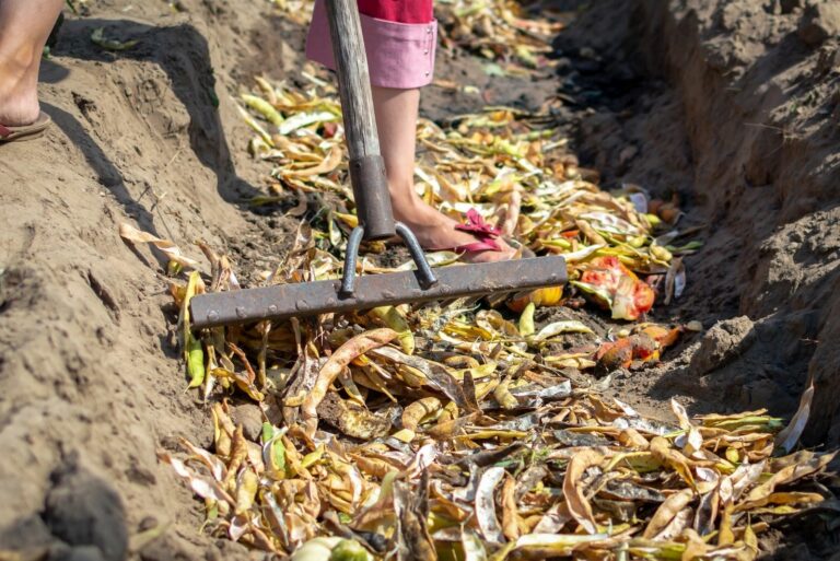 Trench Composting