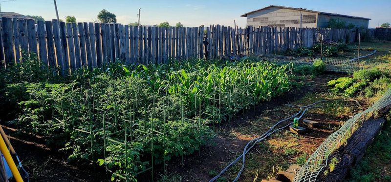 Microclimate Adaptation