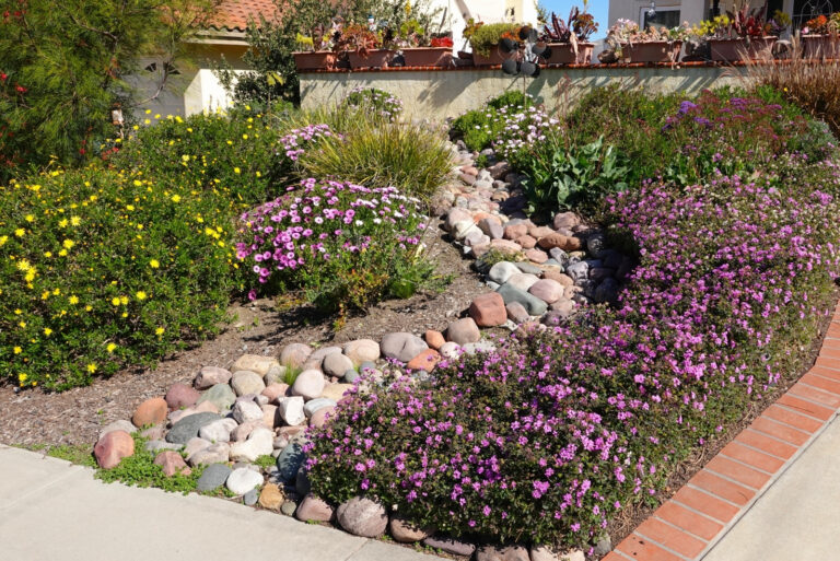 Pretty and colorful drought tolerant landscaping (featured image)