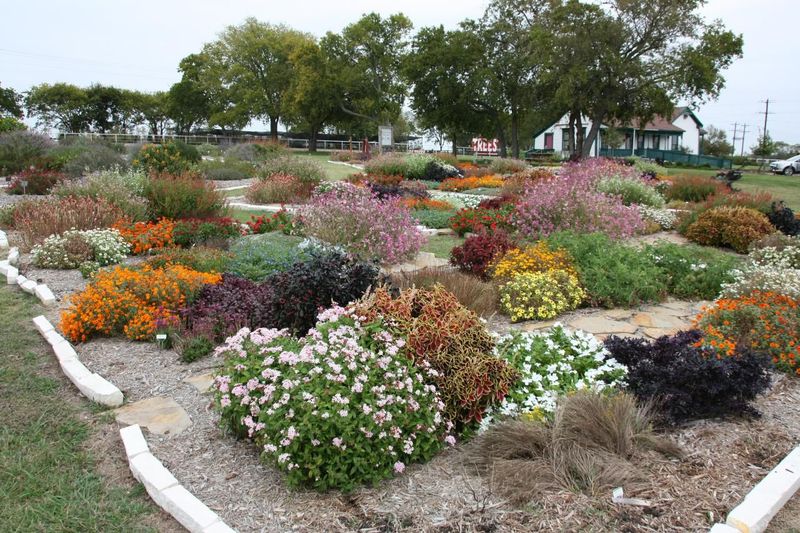 Choose Native Plant Species