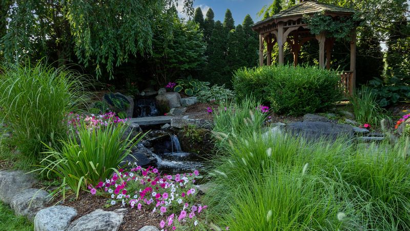 Create Small Puddle Spots For Thirsty Visitors