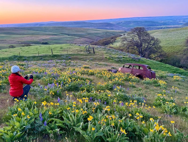 Columbia Hills' Dalles Mountain Ranch
