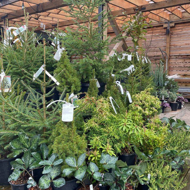 Limit Indoor Time To Preserve Health