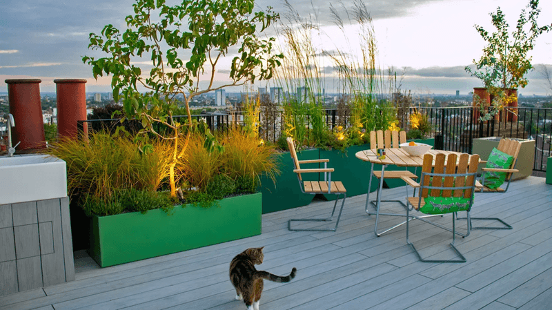 Wind-Resistant Plant Selection