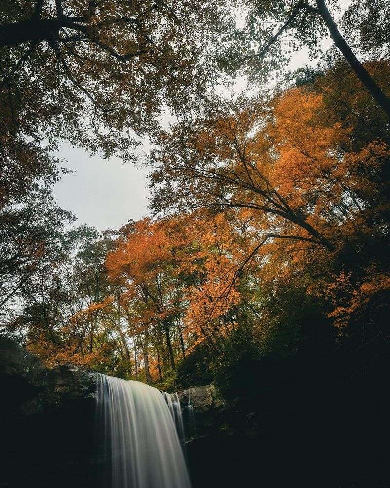 Ohiopyle's Ferncliff Trail