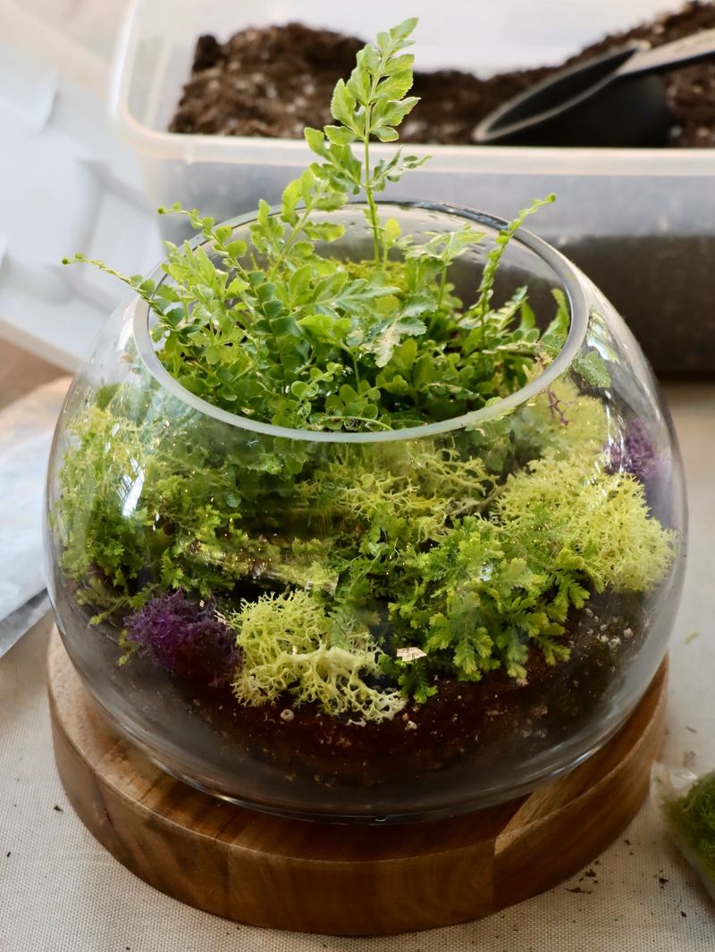 Hands-On Gardening Workshops