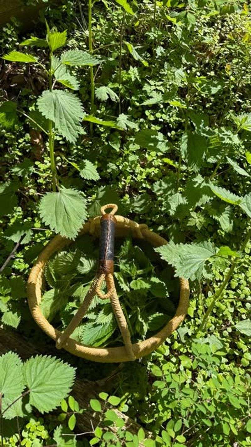 Medicine Cabinet Growing Right Outside