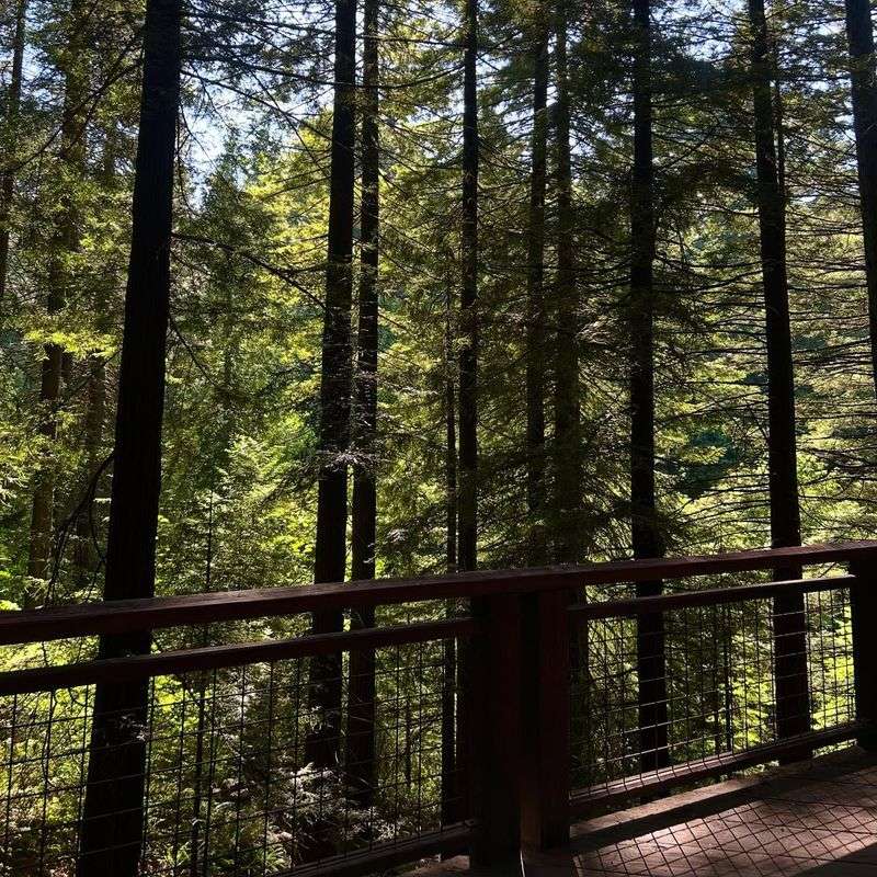Twelve Miles Of Magical Hiking Trails