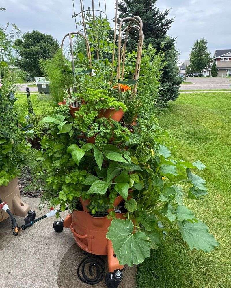 Year-Round Growing Despite Minnesota's Harsh Winters