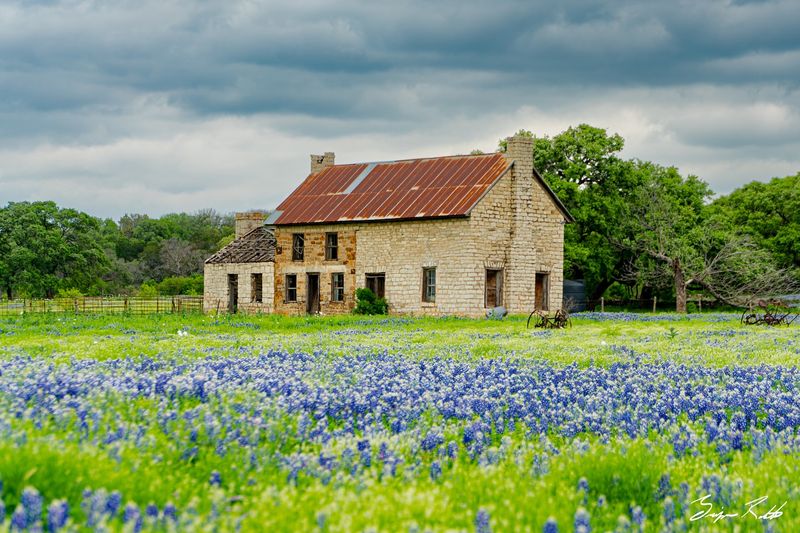 Marble Falls: Lakeside Bluebonnet Views